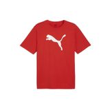 Puma 65870501 Kırmızı Teamrise Logo Jersey Cotton Günlük Erkek T-Shirt
