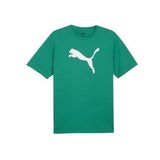 Puma 65870505 Yeşil Teamrise Logo Jersey Cotton Günlük Erkek T-Shirt
