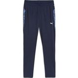 Puma 65917506 Teamcup Training Pants Gri Erkek Eşofman Altı
