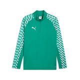 Puma 65972405 Teamliga26 Training 1/4 Zip Yeşil Futbol Antrenman Uzun Kollu Erkek T-shirt
