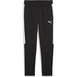 Puma 65994803 Team Evostripe Pants Siyah Erkek Eşofman Altı