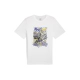 Puma 683213 Graphics Photoprint Tee Erkek Tişort