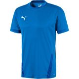 Puma 70417102 Teamgoal 23 Jersey Mavi Erkek Forması