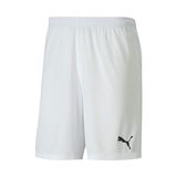 Puma 70426204 Team Goal 23 Erkek Çok Renkli Futbol Şort