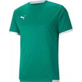 Puma 70491705 Teamliga Jersey Yeşil Erkek Futbol Forması