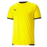 Puma 70491707 Teamliga Jersey Sarı Erkek Futbol Forması