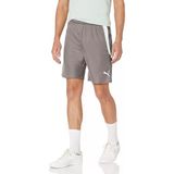 Puma 704924 Teamliga Shorts Erkek Futbol Sortu