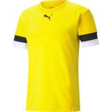 Puma 704932-07 Teamrise Jersey T-Shirt Dry-Cell Erkek Tişört