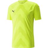 Puma 70501722 Teamglory Jersey Yeşil Erkek Futbol Forması