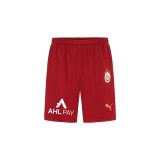 Puma 77967401 Galatasaray SK 2024/2025 Erkek Futbol Şortu