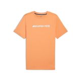 Puma Amg Logo Tee Erkek T-shirt-pudra