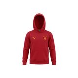 Puma Çocuk Kapüşonlu Sweatshirt Galatasaray FtblESS Hoodie Jr Günlük Spor