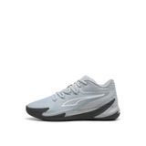 Puma DAGGER Platinum Gray-Dusky Gri Basketbol Ayakkabısı, 45, 311353, Platinum Gray-Dusky Gray, Erkek