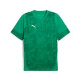 Puma Erkek 659167 Formaları