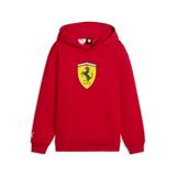 Puma Erkek Ferrari Kids Colored Shield Kapüşonlu Kazak (1'li Paket)