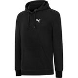 Puma Erkek Istanbul Collectıon Grafik Kapüşonlu Sweatshirt