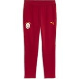 Puma Erkek Kırmızı Puma Gsk Evostrıpe Pants Galatasaray Evostrıpe Erkek Eşofman Altı - XS