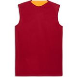 Puma Erkek Kırmızı Puma Gsk Training Jersey Sl Galatasaray Erkek Kolsuz Antrenman Forması
