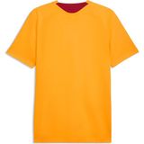 Puma Erkek Sarı Puma Gsk Training Jersey Galatasaray Erkek Antrenman Forması - XS