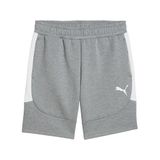 Puma Erkek Teamevostripe Şort Örme Şort