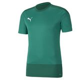 PUMA Erkek, Teamgoal 23 antrenman forması