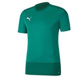 PUMA Erkek, Teamgoal 23 antrenman jarse antrenman forması, Pepper Green-Power Green, M