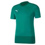PUMA Erkek, Teamgoal 23 antrenman jarse antrenman forması, Pepper Green-Power Green, XXL