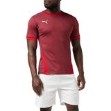 PUMA Erkek Teamgoal 23 jarse forma, Cordovan-Chili Pepper, M