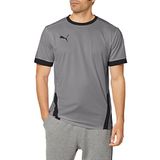 PUMA Erkek, Teamgoal 23 jarse forma