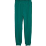Puma Erkek Yeşil Puma Amf1 Essential Sweat Pants Erkek Yeşil Eşofman Altı
