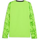Puma Erkek Yeşil Puma Gsk Gk Jersey Ls Galatasaray 26/27 Erkek Kaleci Forması