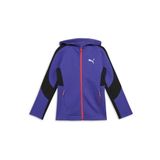 PUMA Erkek/Unisex EVOSTRIPE FZ Hoodie DK-Lapis Lazuli Sweat Jackets 9-10 YAŞ