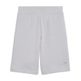 Puma Essential No 1 Logo Şort, XXL, 57-682595-2, Gri, Erkek