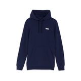 Puma Essentıals Small Logo Erkek Kapüşonlu Sweatshirt 686772 06 Mavi