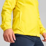 Puma Fenerbahçe S.k. Erkek Mevsimlik Ceket