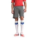PUMA Futbol TeamRISE Erkek Şortu Gri Beyaz Beden M