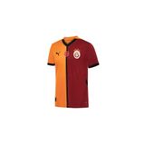Puma Galatasaray 2024/2025 Erkek Futbol İç Saha Forması Parçalı