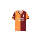 Puma Galatasaray 2025/2026 Çocuk İç Saha Parçalı Taraftar Forma 77982801