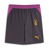 Puma Galatasaray 2026/27 Erkek Gri Futbol Şort 78502305