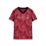 Puma Galatasaray 25/26 Alternatif Forma Çocuk Galatasaray 25/26 Alternatif Forma 77982003 Kırmızı