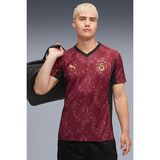 Puma Galatasaray 25/26 Erkek Alternatif Forma Drycell Futbol Forması Kırmızı 77981303 - XS