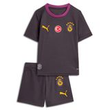 Puma GALATASARAY 26/27 Çocuk Deplasman Forma Seti, 2-3 Yaş, 785019, Flat Dark Gray-Plum Wine, Unisex Çocuk