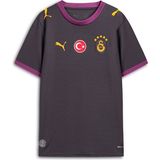 Puma Galatasaray 26/27 Çocuk Deplasman Gri Forma - 9 - 10 Yaş