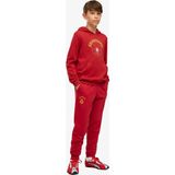 Puma Galatasaray 26/27 Çocuk Gri Eşofman Altı.24