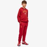 Puma Galatasaray 26/27 Çocuk Gri Eşofman Altı