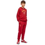 Puma Galatasaray 26/27 Çocuk Gri Eşofman Altı