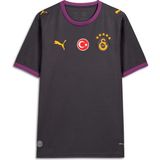 Puma Galatasaray 26/27 Erkek Deplasman Forması (785013-05) - 3XL - Gri