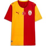Puma Galatasaray 26/27 Erkek Iç Saha Parçalı Forma - XL