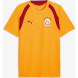 Puma Galatasaray 26/27 Erkek Sarı Antrenman Forma.07 - Siyah