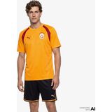 Puma Galatasaray 26/27 Erkek Sarı Antrenman Forma.07 - XL - Siyah